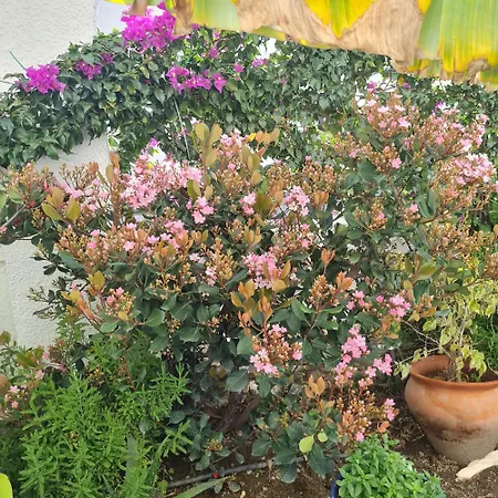 Lägenhet Casa Jazmin Nerja