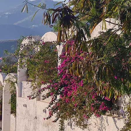 Casa Jazmin 内尔哈