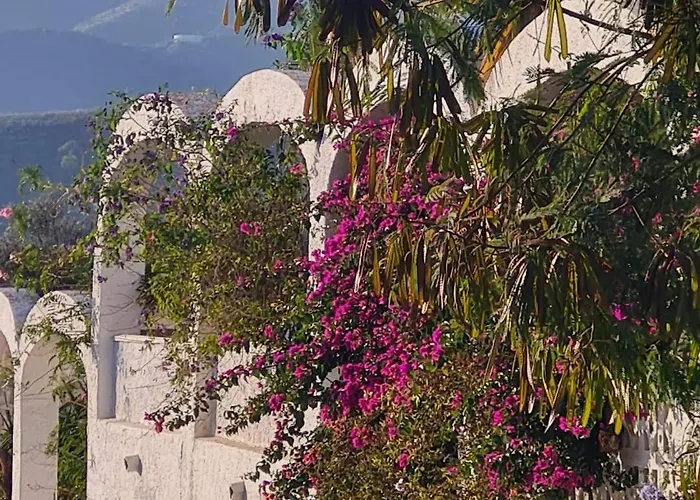 Casa Jazmin נרחה