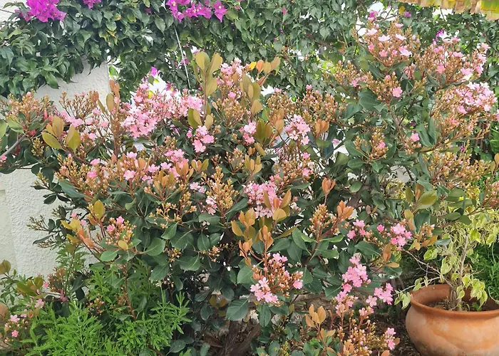 דירה Casa Jazmin נרחה